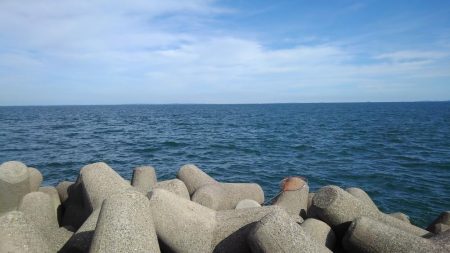 まだ青物いたんだ(○_○)！！