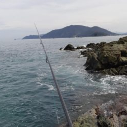 イカの気持ち５