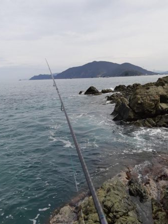 イカの気持ち５