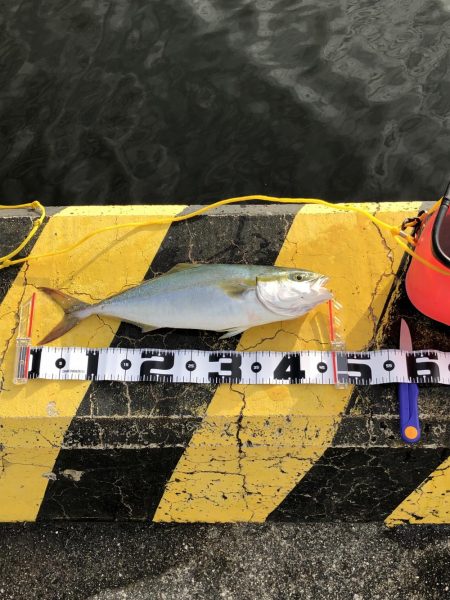 ボイルの中、やっと1匹