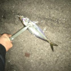 周りを見て2種類の釣り