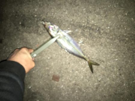 周りを見て2種類の釣り