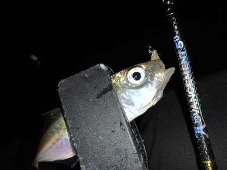 アーバンサイドアジング