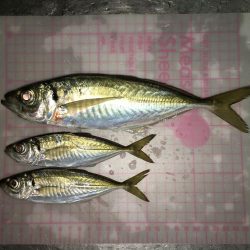 厳しいですね〜