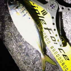 連チャン淡路遠征