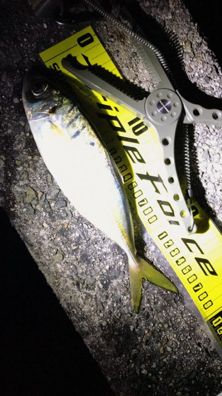 連チャン淡路遠征