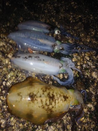 時間限定の場所