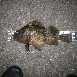 マイベスト更新