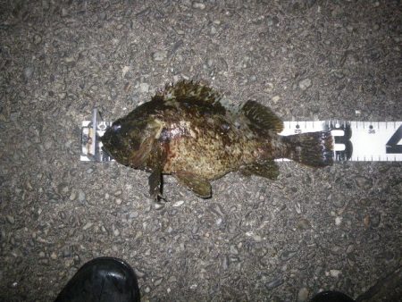 マイベスト更新