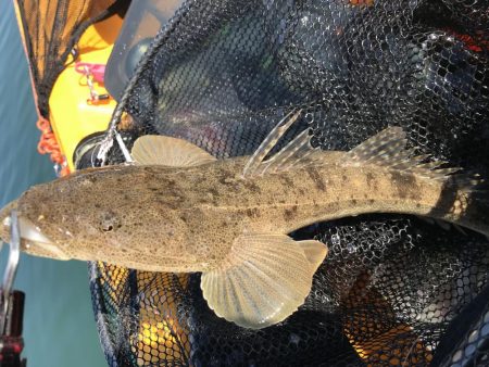 カヤック　ジギング