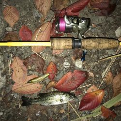 トップでチョンチョン