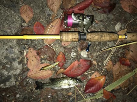 トップでチョンチョン