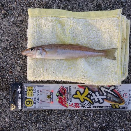 久しぶりの淡路島釣行