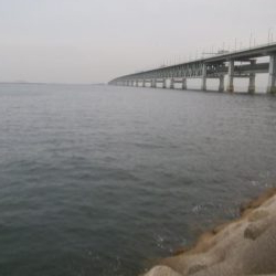 ワインドとアジング