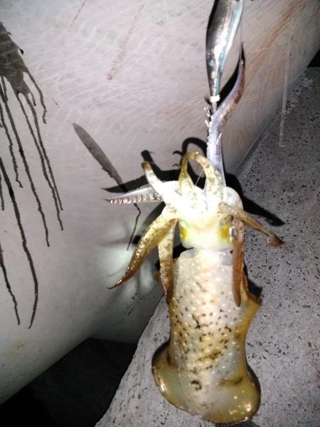 かなりスレてる様な？