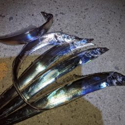 かもめ大橋夕まずめ