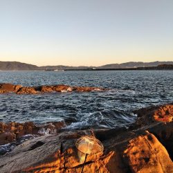 フカセが一番・・面白いです・・