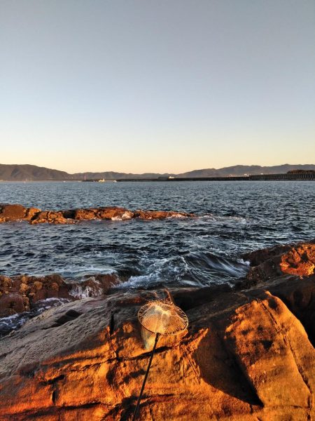 フカセが一番・・面白いです・・