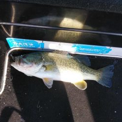 スピニングタックル