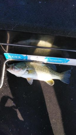 スピニングタックル