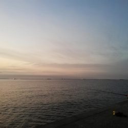 やっと連敗から脱出できました。