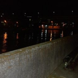 今年最後のアジング？