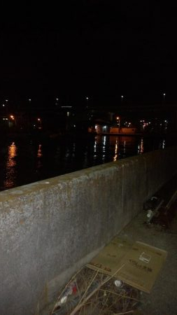 今年最後のアジング？