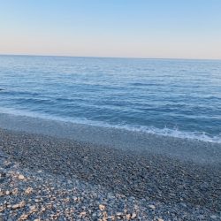 アオリイカ2019秋～②