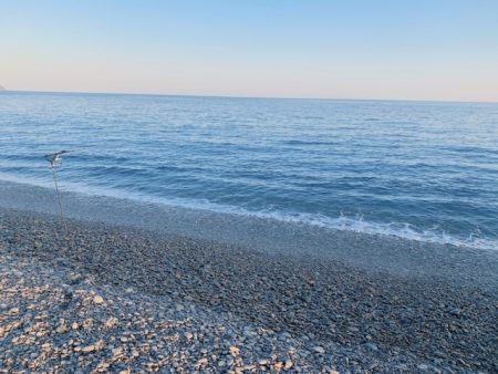 アオリイカ2019秋～②