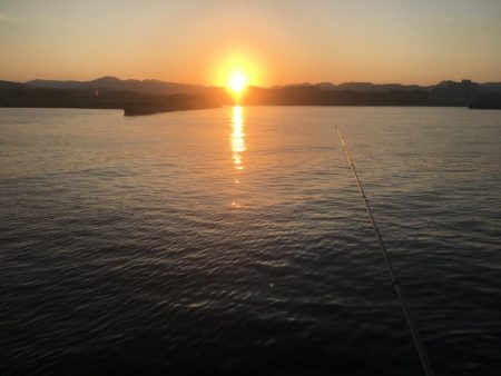 ハモ70㎝1匹、アジ10匹