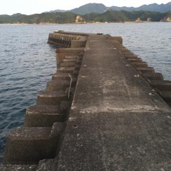 アイゴ2匹（最大42㎝）、メッキ2匹（25㎝）、ヘダイ2匹（25㎝）、チャリコ1匹（20㎝）、コアジ