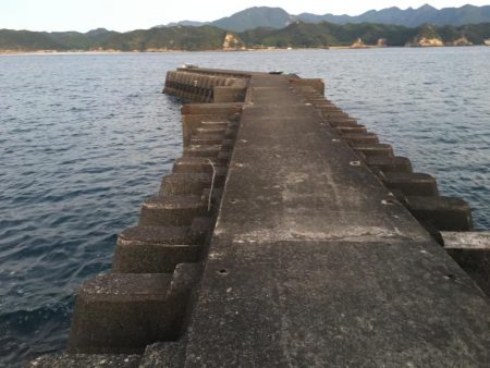 アイゴ2匹（最大42㎝）、メッキ2匹（25㎝）、ヘダイ2匹（25㎝）、チャリコ1匹（20㎝）、コアジ