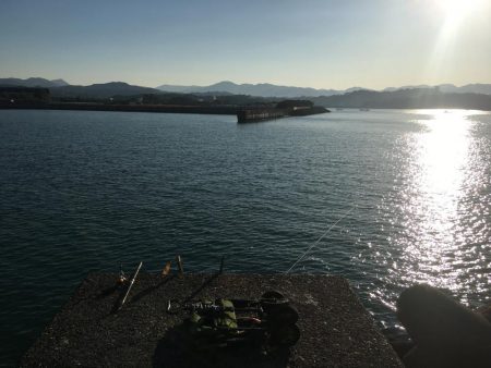 尺アジ、ヘダイ