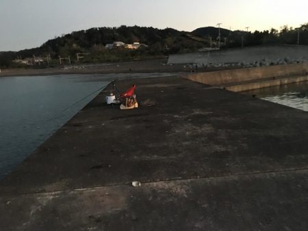 シマアジ31㎝、アイゴ28㎝