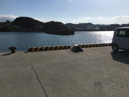 真鯛28㎝、ヘダイ23㎝×6匹ほか