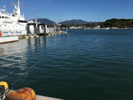 中型アジ2匹、コアジ22匹、ヘダイ、ヒイラギ4匹