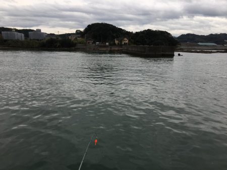 コアジ71匹、ヒイラギ30匹