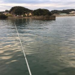 コアジ93匹、中アジ（25㎝）1匹、ガシラ1匹