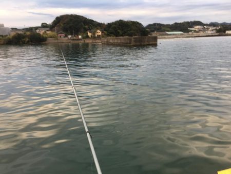 コアジ93匹、中アジ（25㎝）1匹、ガシラ1匹