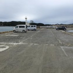 コアジ29匹、中型アジ（26㎝）1匹