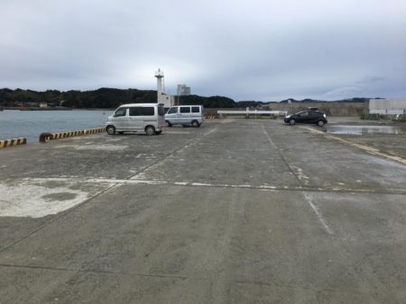 コアジ29匹、中型アジ（26㎝）1匹