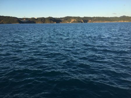 アイゴ3匹(最大40㎝)、ヘダイ2匹(最大26㎝)、グレ13匹(最大25㎝)、サンバソウ2匹、コアジ16匹