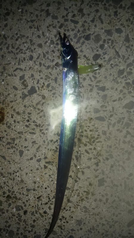 逃がした魚は大きかった