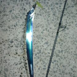 横風が冷たかったです