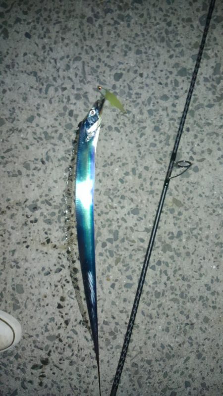 横風が冷たかったです