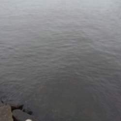 もう、終息ですか?!