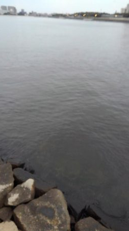 もう、終息ですか?!