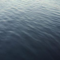 ナブラで大忙し！