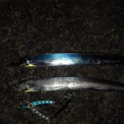 何とかタチウオ2匹