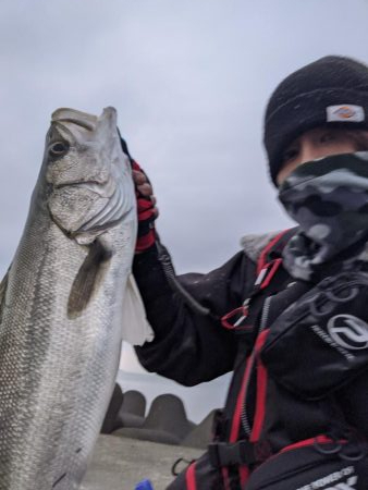 朝マズメ　3投目でシーバス！